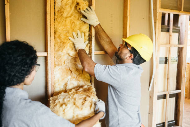 Best Spray Foam Insulation  in Carencro, LA